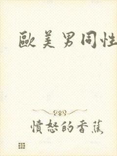 欧美男同性恋爱封面