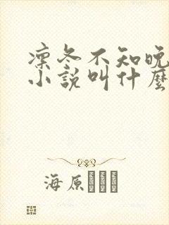 凛冬不知晚原著小说叫什么名字