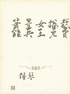 萧晨女总裁的全能兵王免费看