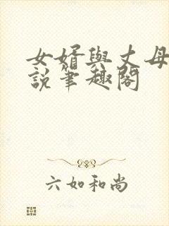 女婿与丈母娘小说笔趣阁