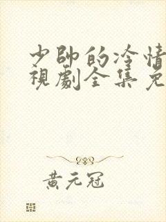 少帅的冷情妻电视剧全集免费播放