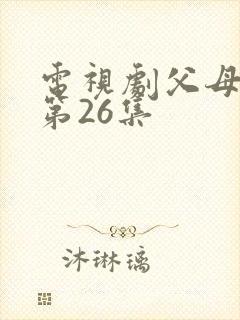 电视剧父母爱情第26集