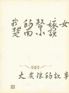 我的替嫁女总裁楚南小说