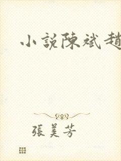 小说陈斌赵心媚封面