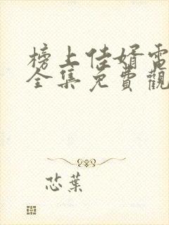 榜上佳婿电视剧全集免费观看高清2025在线