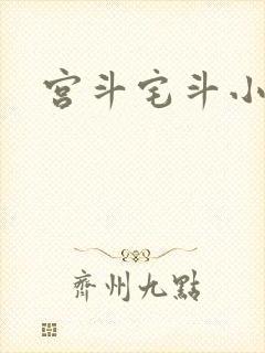 宫斗宅斗小说