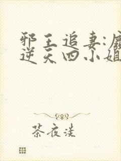 邪王追妻:废材逆天四小姐