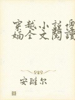 穿越小说傻王夺嫡全文阅读