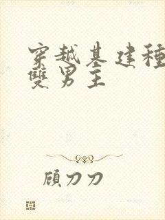穿越基建种田文双男主