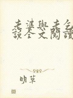 老婆与老乞丐小说全文阅读