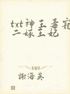 txt神王毒宠二嫁王妃