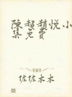 陈超赵悦小说全集免费