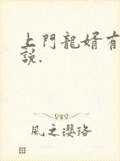 上门龙婿有声小说.封面