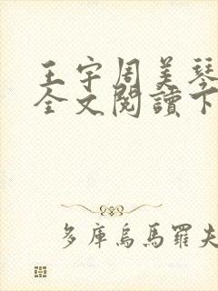 王宇周美琴小说全文阅读下载