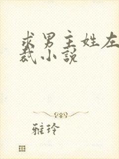 求男主姓左的总裁小说