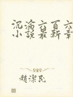 沉沦六百六十六小说最新章节更新