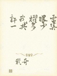 许我耀眼电视剧一共多少集