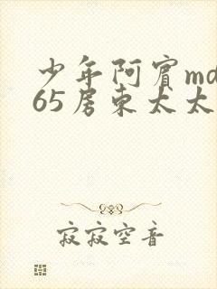少年阿宾md165房东太太