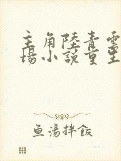 主角陆青云的官场小说重生