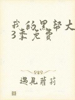 我的黑帮大佬第3季免费