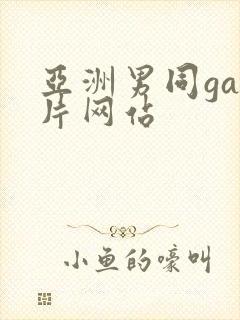 亚洲男同gay片网站封面