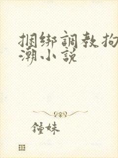 捆绑调教拘束高潮小说封面