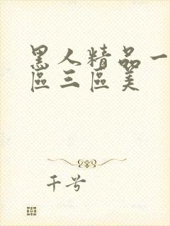 黑人精品一区二区三区美