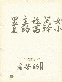 男主姓周女主姓夏的高干小说