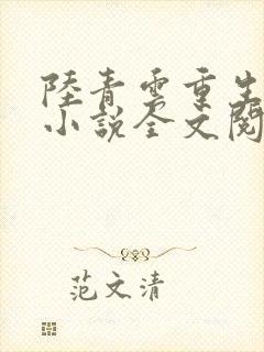 陆青云重生官场小说全文阅读