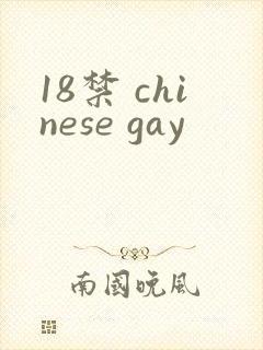 18禁 chinese gay封面