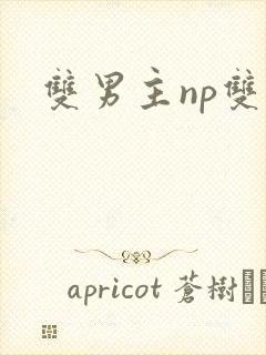 双男主np双性