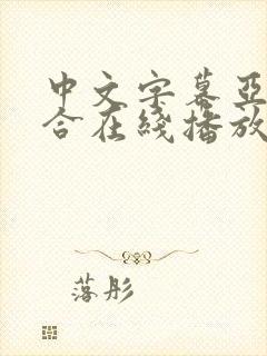 中文字幕亚洲综合在线播放