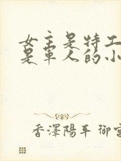 女主是特工男主是军人的小说