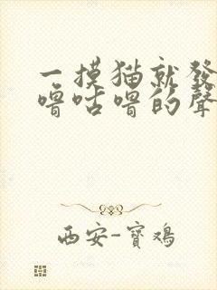 一摸猫就发出咕噜咕噜的声音