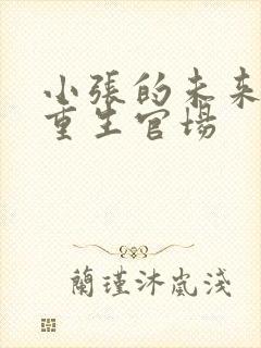 小张的未来小说重生官场