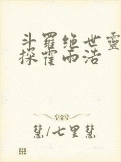 斗罗绝世灵眸神探霍雨浩