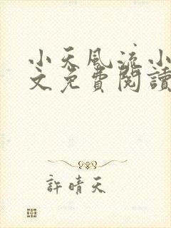 小天风流小说全文免费阅读无弹窗下