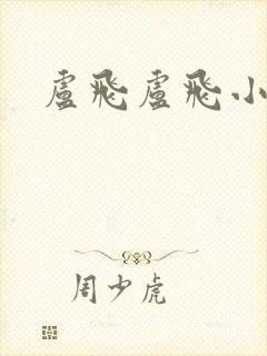 卢飞卢飞小说网