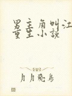 男主角叫江寒的重生小说封面