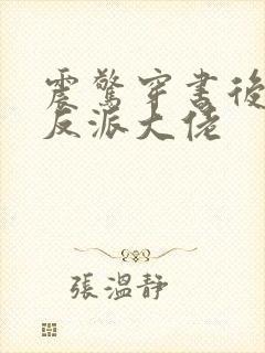 震惊穿书后娶了反派大佬