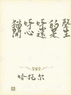 猫呼呼的声音是开心还是生气