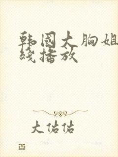 韩国大胸姐姐在线播放