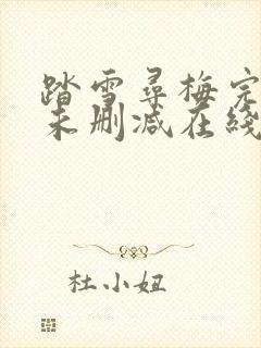 踏雪寻梅完整版未删减在线免费观看