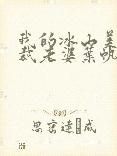 我的冰山美女总裁老婆叶帆小说