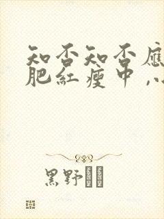 知否知否应是绿肥红瘦中 ,小沈氏全名叫什么