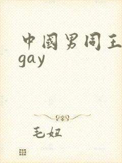 中国男同王伦宝gay