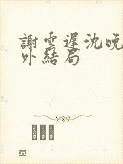 谢云迟沈晚梨番外结局