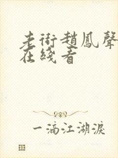 老街赵凤声全集在线看