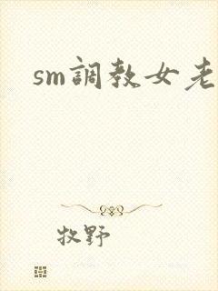 sm调教女老师