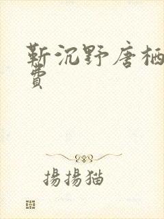 靳沉野唐栖雾免费